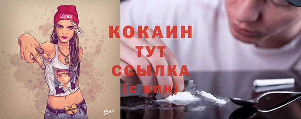 бошки Алзамай