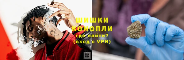 шишки Алексеевка