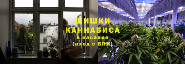 шишки Алексеевка